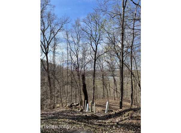 Lot 303 Cherrywood Lane, Sharps Chapel, TN 37866