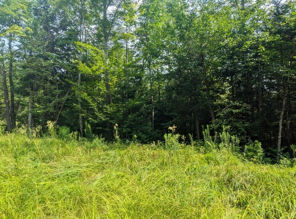 M15 L17 Quincy Woods Road, Anson, ME 04911