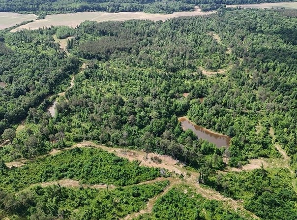 Ballentine Rd, SARDIS, MS 38666