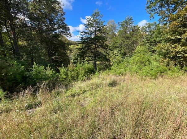 Gamma Ridge, Big Chimney, WV 25312