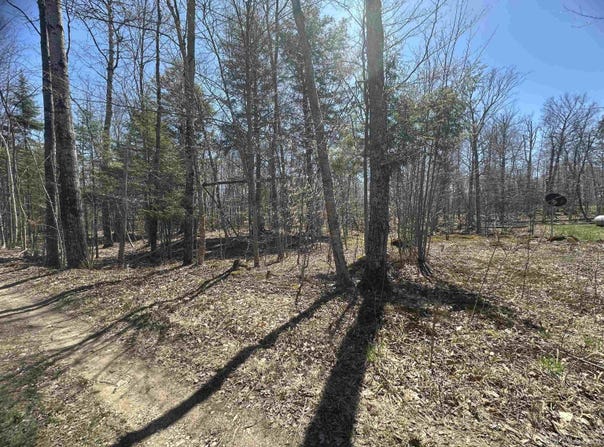 TBD Lot 29 1st St, Manistique, MI 49854-0000