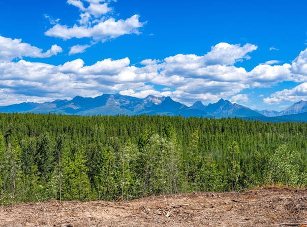 11680 North Fork Road, Polebridge, MT 59928