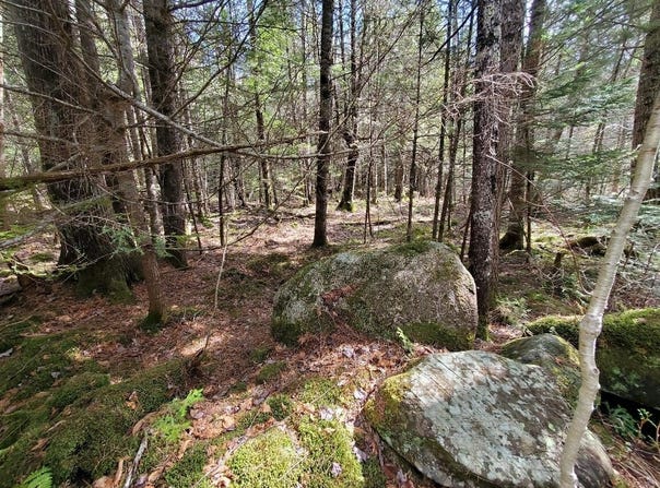 Howland (Rte 155) Road, Lagrange, ME 04453