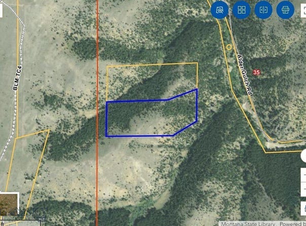 Bell Lode, Sur 1320, 19.48 AC - Mining Claim, Virginia City, MT 59729