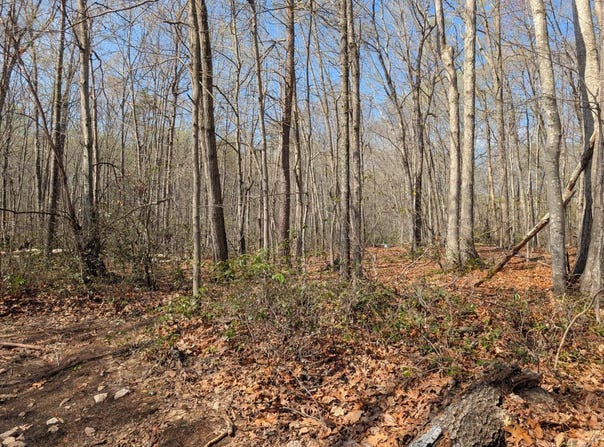 Peaceful., Madison Heights, VA 24572