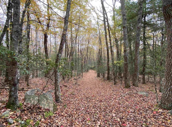 HALTERMAN HOLLOW LN, MONTEREY, VA 24465