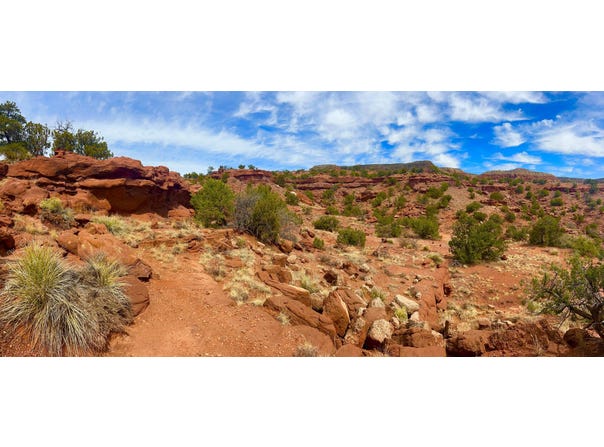 LOT 2C1 , LANDS OF BABCOCK, Jemez Pueblo, NM 87024
