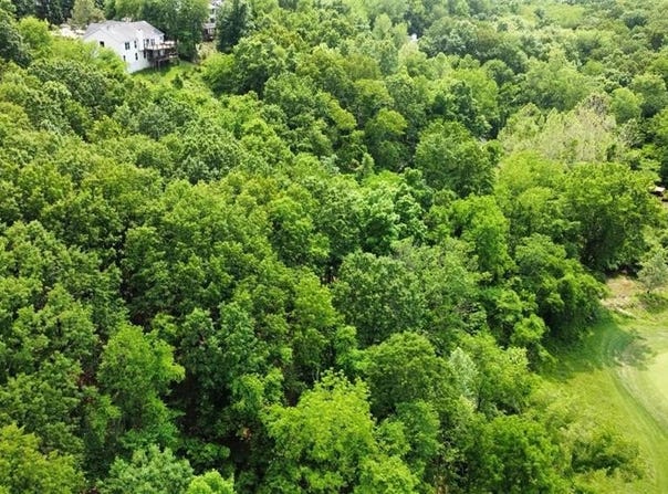 1452 Paradise Valley Drive, High Ridge, MO 63049