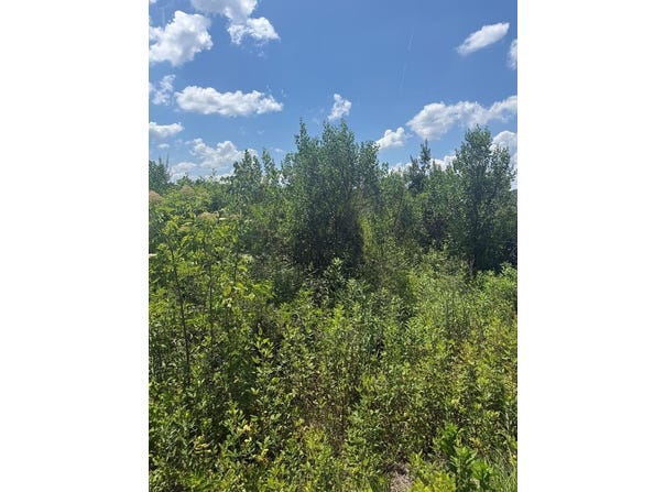 Pineview Rd, Alma, GA 31510