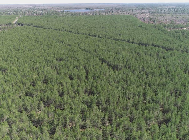 Parcel 5 Rice Lake, Gwinn, MI 49841