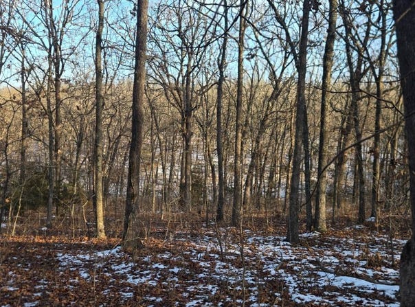 TBD S 68th Rd, Dunnegan, MO 65640