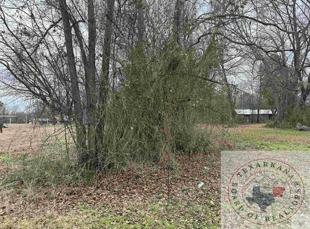 TBD 1 Ann St, Texarkana, TX 75501