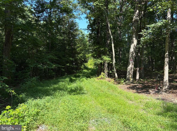23 TAYLOR ROAD, LOUISA, VA 23093