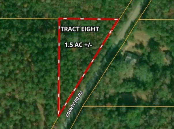 Tract 8 - County Road 313, Wedowee, AL 36278