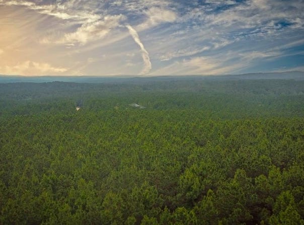 580 Pine Hills Road, Broken Bow, OK 74728