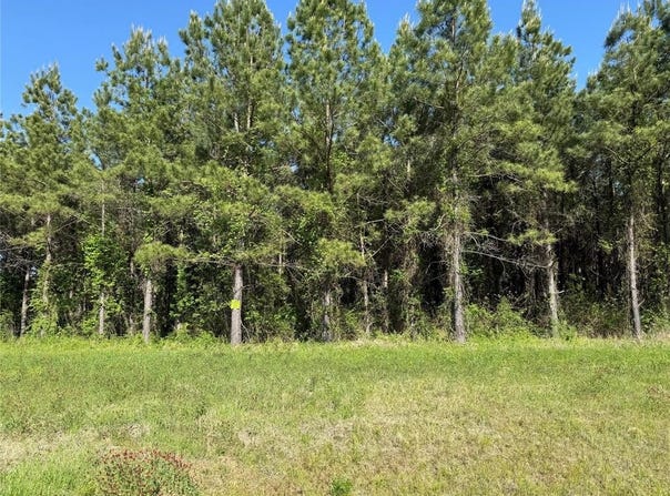 204 Chapel Creek Drive, Princeton, LA 71067