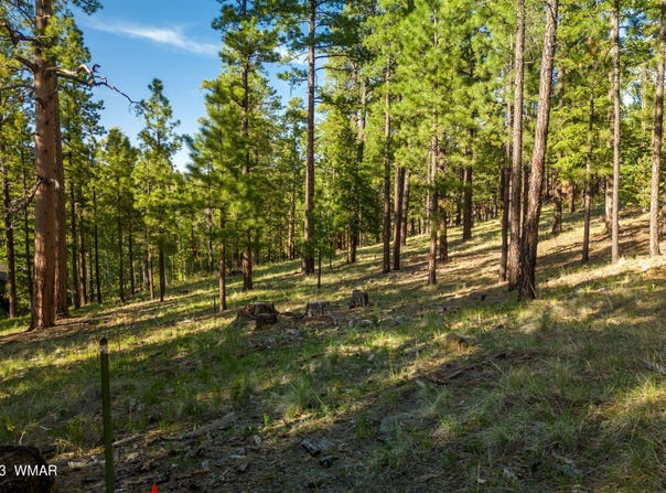 9 N1064, Greer, AZ 85927