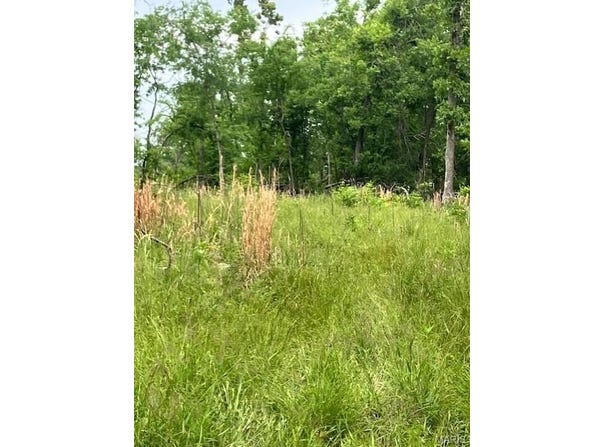 235 Madison CR 410, Fredericktown, MO 63645