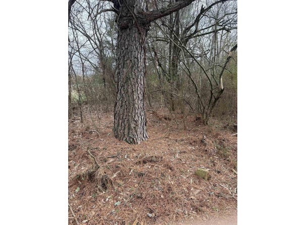 000 lot 22 Gather Griffin farm road, Quitman, AR 72131