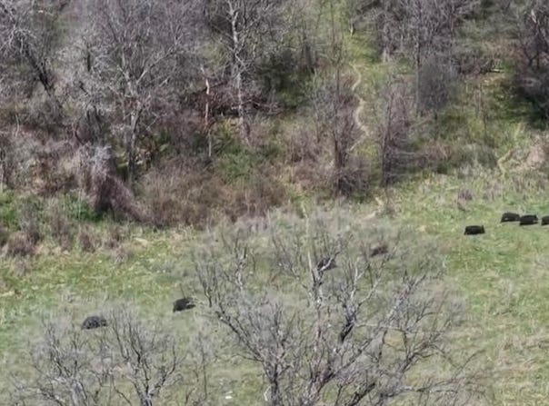 3141 Rogers Road, Jacksboro, TX 76458