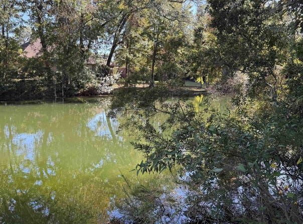 Red Eagle Drive, Daphne, AL 36526