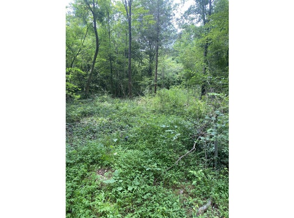 0 Mccahill Road, Chattanooga, TN 37415