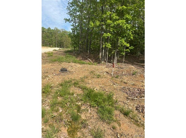 7 CR 4180, Salem, MO 65560