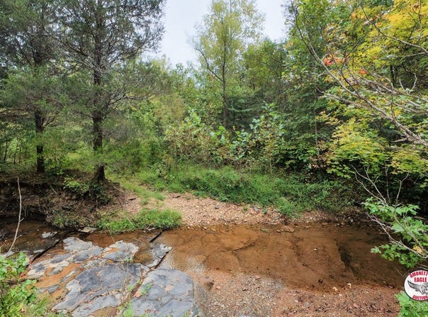 of Luther Shepard Rd., Burkesville, KY 42717