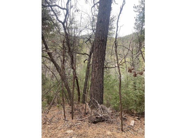 4 Devils Tower Ln, High Rolls Mountain Park, NM 88325-0000
