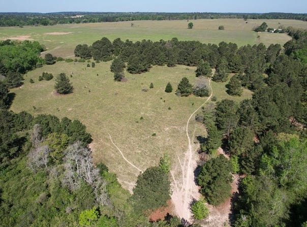 2954 CR 2170, Grapeland, TX 75844