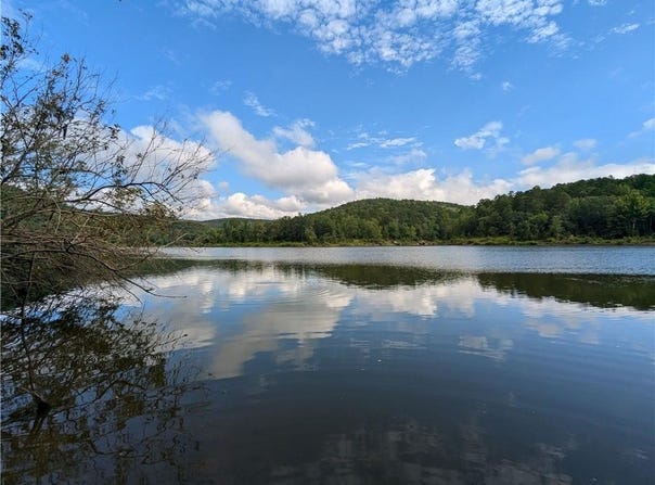 TBD Mayhand  RD, Shirley, AR 72153