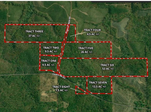 155+/- Acres County Road 313, Wedowee, AL 36278