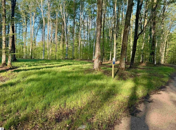 0002 S Bright Road, Maple City, MI 49664