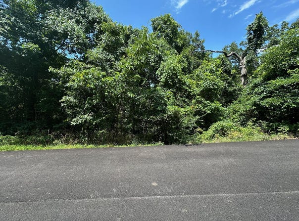 Lot 9 Paola Lane, Kimberling City, MO 65686
