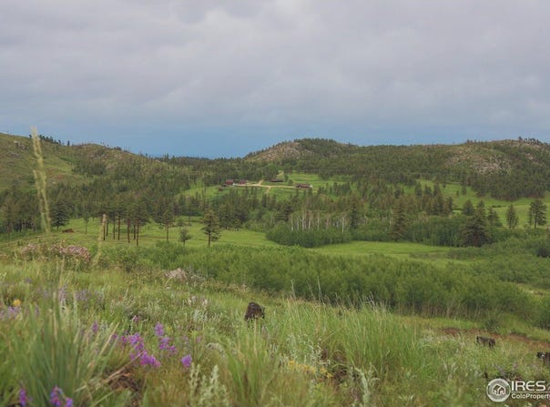 14884 Rist Canyon Rd, Bellvue, CO 80512