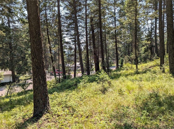 106 Timberlane Terrace, Lakeside, MT 59922