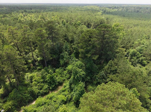 Junction City, AR 71749