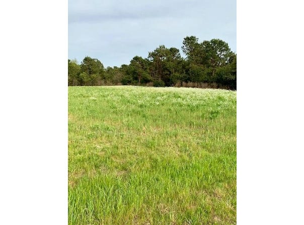 2405 HWY 88, Hephzibah, GA 30815