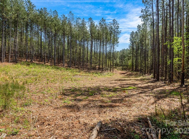 19 Sunset Drive, Mill Spring, NC 28756