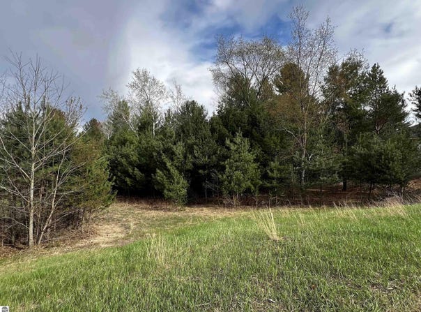 LOT 19 CUSHMAN COURT LOT #19, WILLIAMSBURG, MI 49690