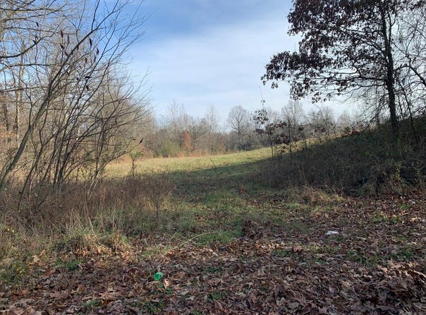 347 CR, Piggott, AR 72454