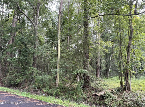 - River Music Drive, Gautier, MS 39553
