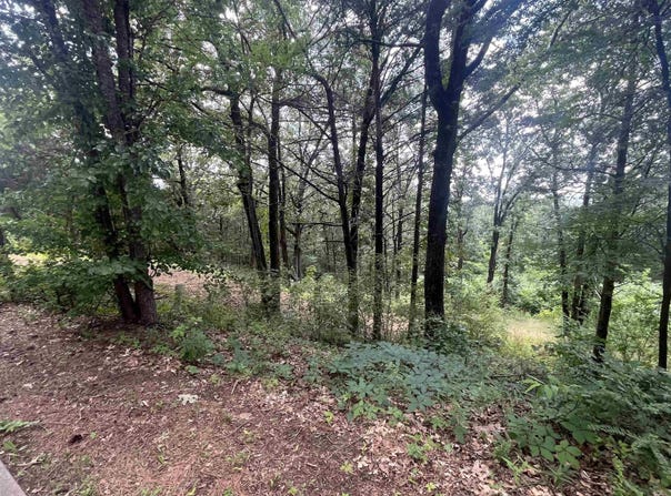 3265 Nob Hill Drive, Conway, AR 72034
