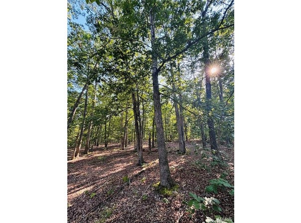 Tbd County Road 2330, Salem, MO 65560