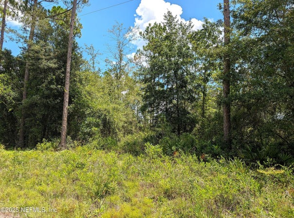 SE 48TH Lane, Starke, FL 32091