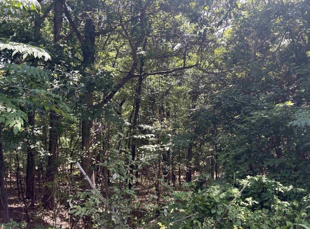 Cr 325, Pleasant Hope, AR 72396