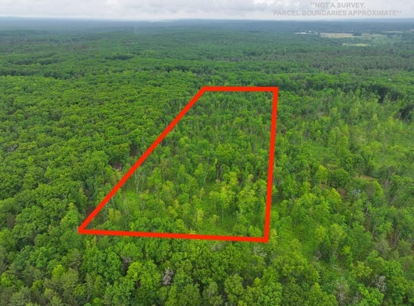 V/L 10.09a E Abermanis Trail, Luther, MI 49656