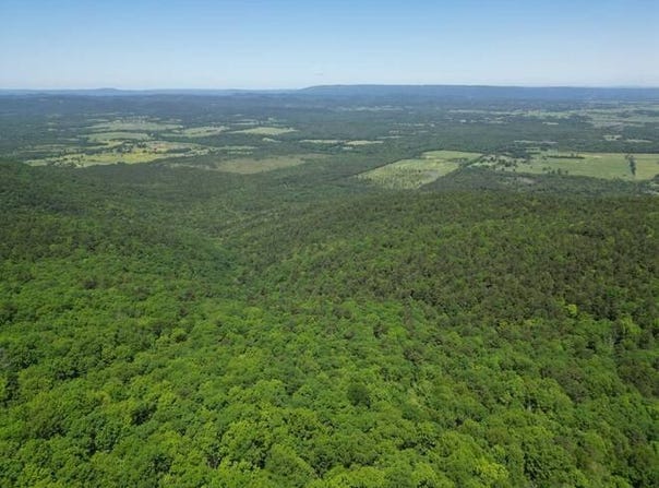 TRACT 37 PIN OAK PATH, Albion, OK 74571