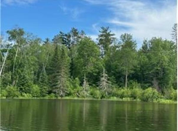 Tbd S Thunder Lake Road, Thunder Lake Twp, MN 56672