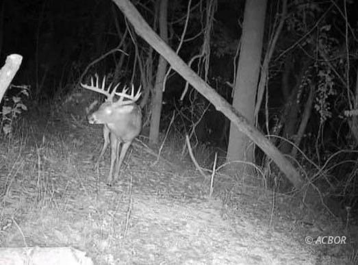Wells Run Rd, Portland, OH 45770